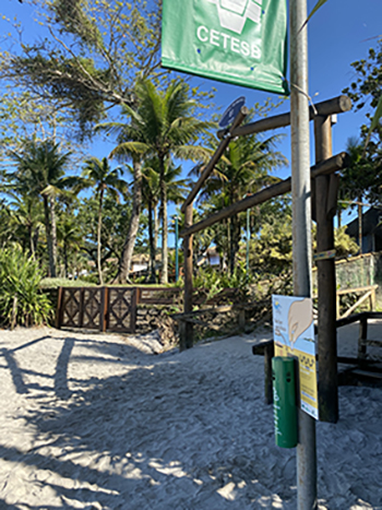 Limpeza, Coleta de Lixo e Bitucas