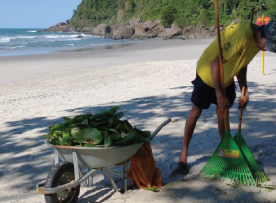 Limpeza e Coleta de Lixo